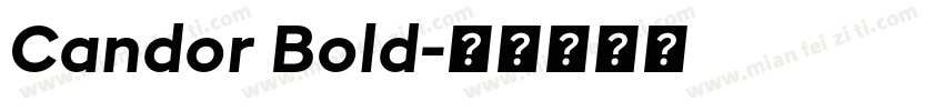 Candor Bold字体转换